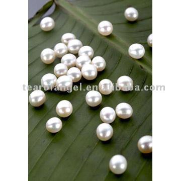  Rice Pearl (Rice Pearl)