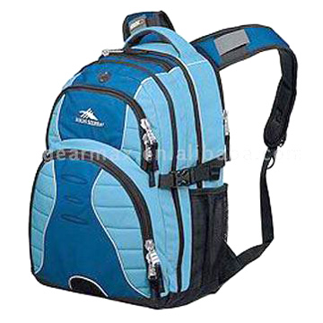 Computer Backpack (Computer Backpack)
