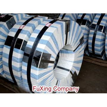  Galvanized Steel Strip (Verzinkte Stahlband)