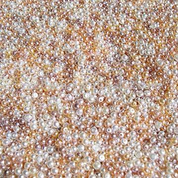  Flat Loose Pearl ( Flat Loose Pearl)