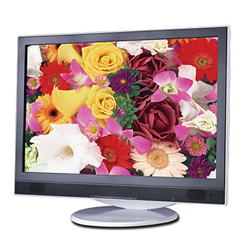  Wide Screen LCD Monitor (W9006S)