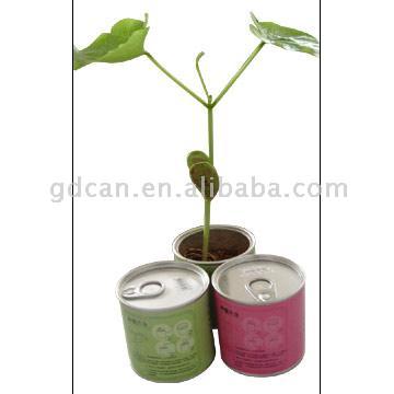  Magic Bean Can ( Magic Bean Can)
