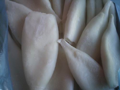  Frozen Squid Tube ( Frozen Squid Tube)
