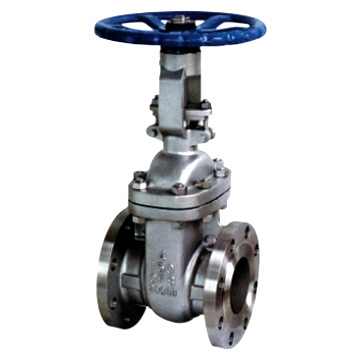  Gate Valve (Gate Valve)