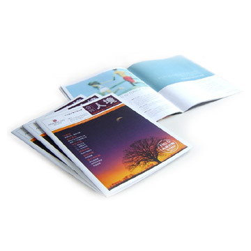  Magazine ( Magazine)