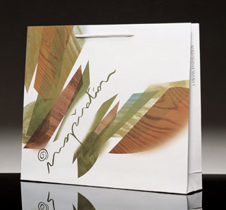  Paper Shopping Bags ( Paper Shopping Bags)