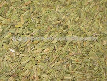  Chinese Fennel Seed (Chinois Fennel Seed)