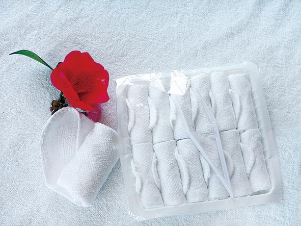  Airline Disposable Towel (Airline serviettes jetables)