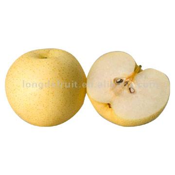  Pear ( Pear)