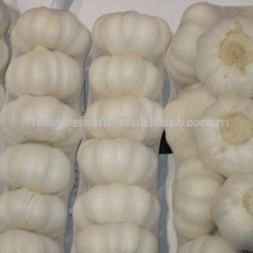  Garlic (Ail)