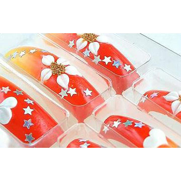  3D Art Long Nail Tip (3D Art Long Nail Tip)