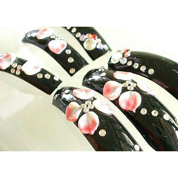  3D Art Long Nail Tip (3D Art Long Nail Tip)