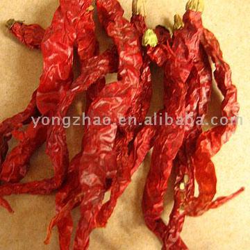  Xian Chilli (Xian Chilli)