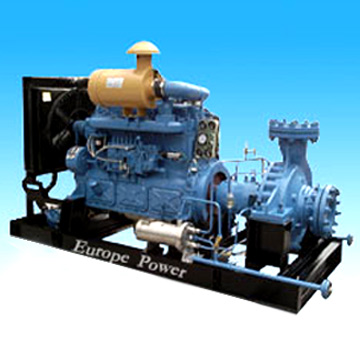  Diesel Pump Set (Дизель насосный агрегат)