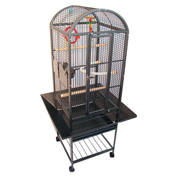  Bird Cage (Bird Cage)