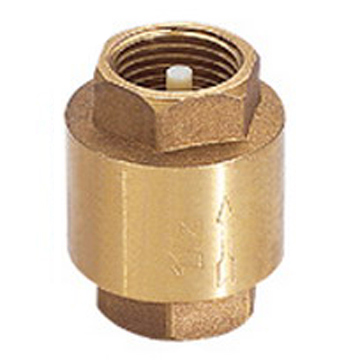  Check Valve