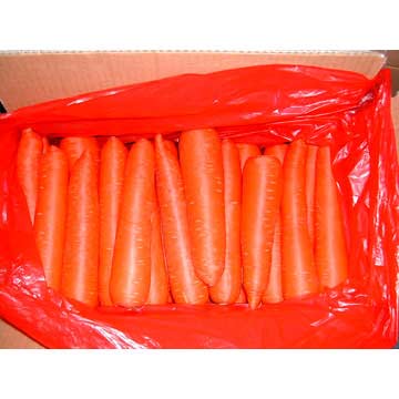  Fresh Carrot (Свежий морковный)