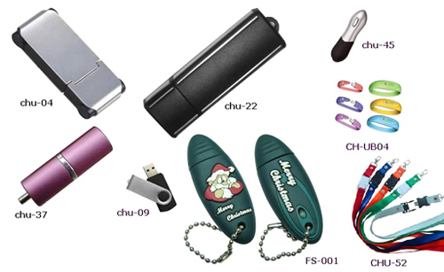  USB Disk ( USB Disk)