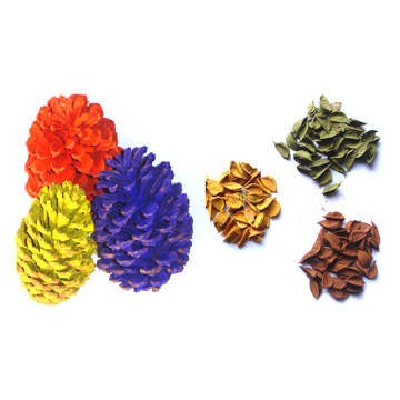  Pine Cone (Pine Cone)