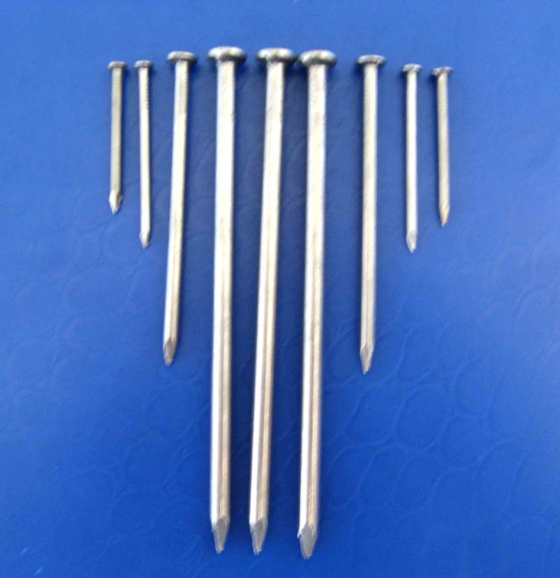  Common Iron Wire Nails (Commun fil de fer Nails)