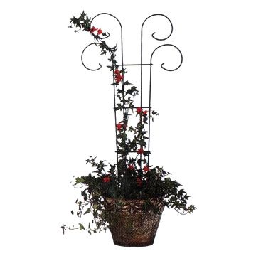  Flower Stand (Flower Stand)