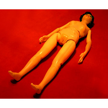 Model for Nursing Practice (Model for Nursing Practice)