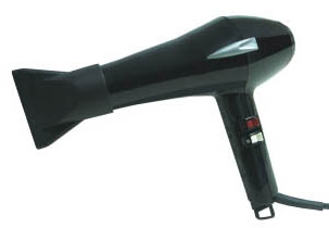  Hair Straightener and Dryer (Lisseurs et sécheuse)