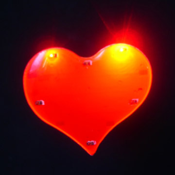 LED Body Light Pin ( LED Body Light Pin)