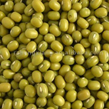  Green Mung Beans (Зеленые бобы мунг)