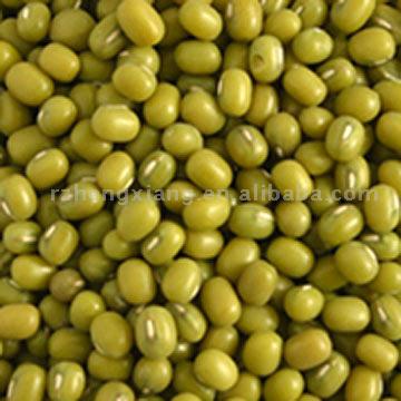  Green Mung Beans ( Green Mung Beans)