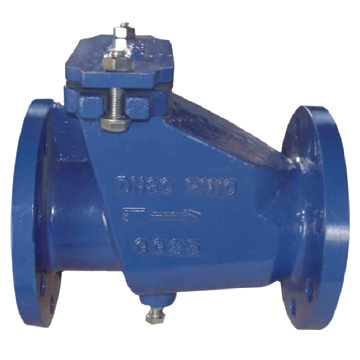  Swing Check Valve (Clapet)