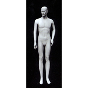  Male Mannequin (Мужской манекен)