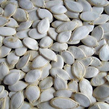  Pumpkin Seeds