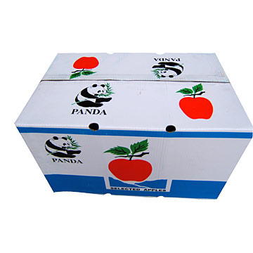  Fuji Apple (Fuji Apple)