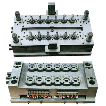  Mould ( Mould)