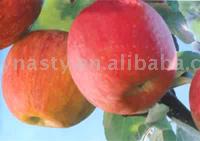  Fuji Apples ( Fuji Apples)