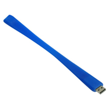  Flash Disk ( Flash Disk)
