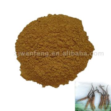  Fermentation Cordyceps CS-4 Powder (Брожение Кордицепс CS-4 Порошковый)