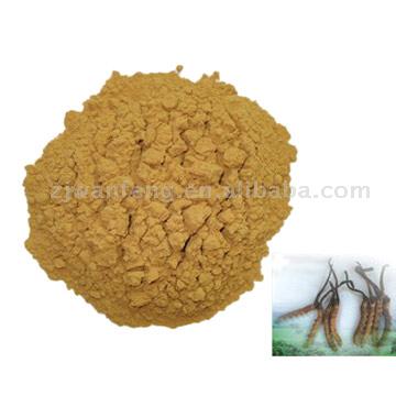  Cordyceps Polysaccharide Powder (Cordyceps polysaccharidique Poudre)