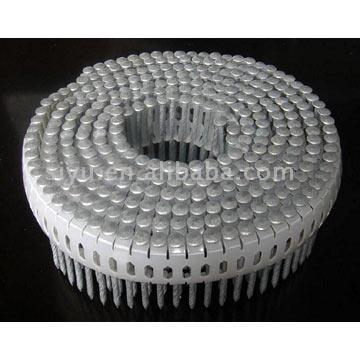 Plastic Coil Nail (Plastic Coil Nail)