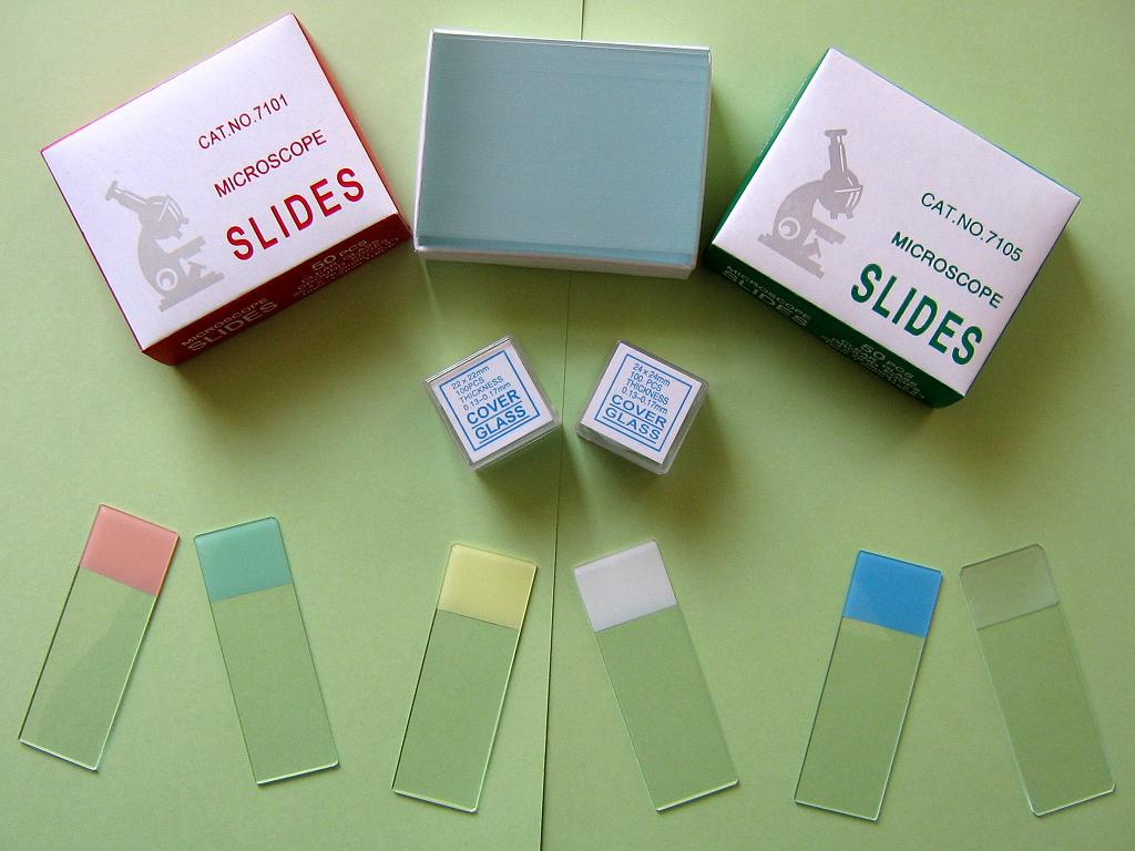  Microscope Slides and Cover Glass (Lames de microscope et un couvre -)