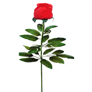 Feather Rose (Feather Rose)