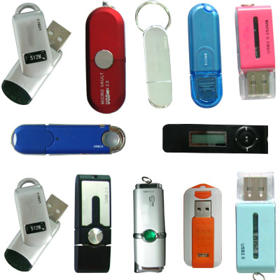  USB Flash Disk (USB Flash Disk)