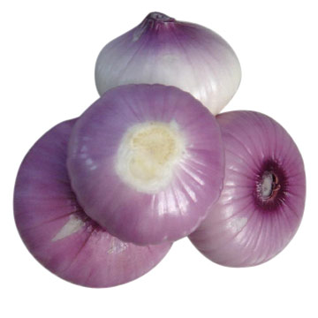 Onion (Onion)