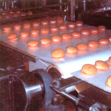  Conveyor Belt (Conveyor Belt)
