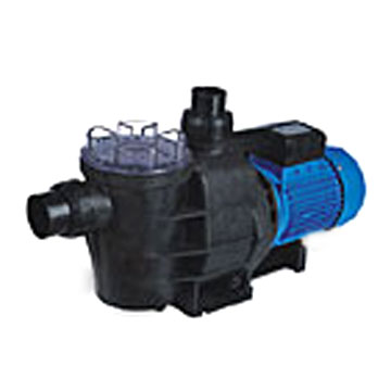  Swimming Pool Pump ( Swimming Pool Pump)