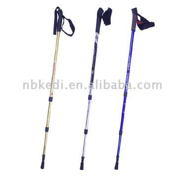  Walking Sticks ( Walking Sticks)