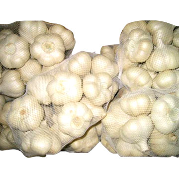  Fresh Garlic (L`ail frais)