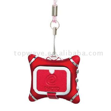 Digital Photo Frame (Digital Photo Frame)