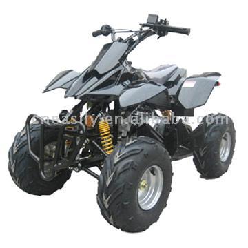  110cc ATV with Reverse ( 110cc ATV with Reverse)